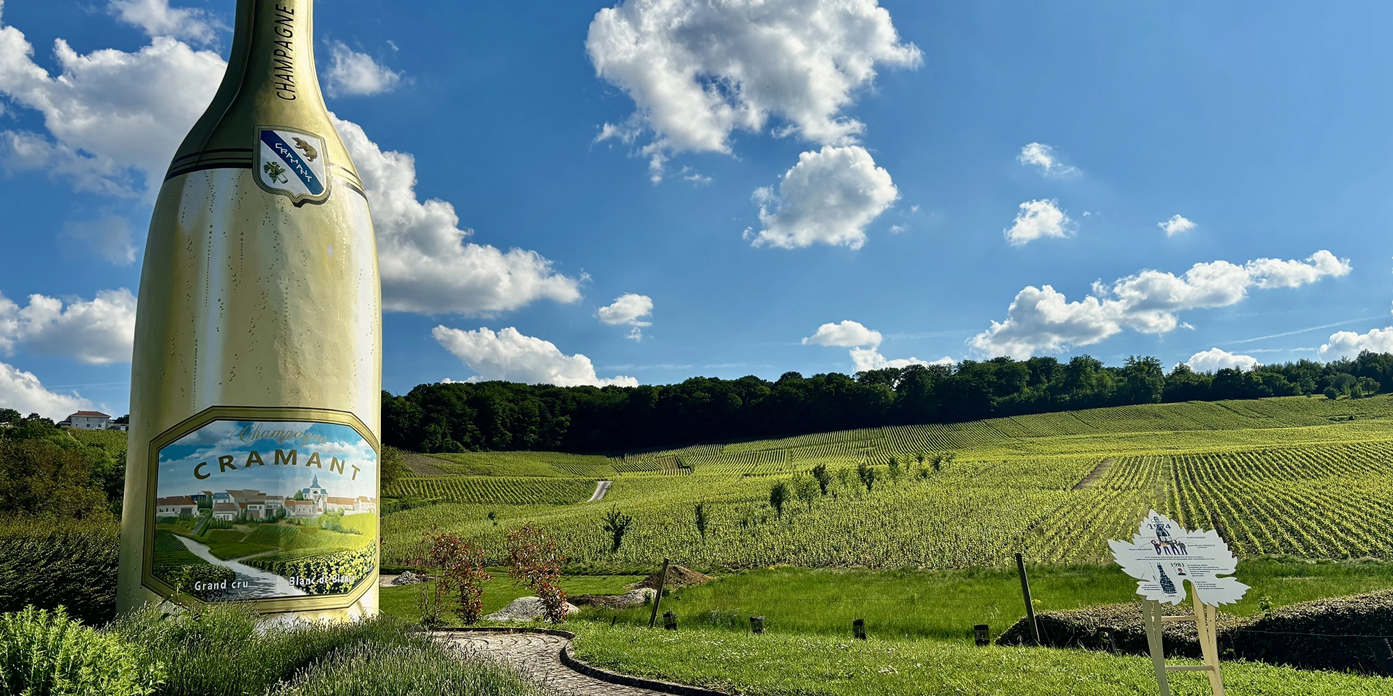 cote-des-blancs-diaporama7-1