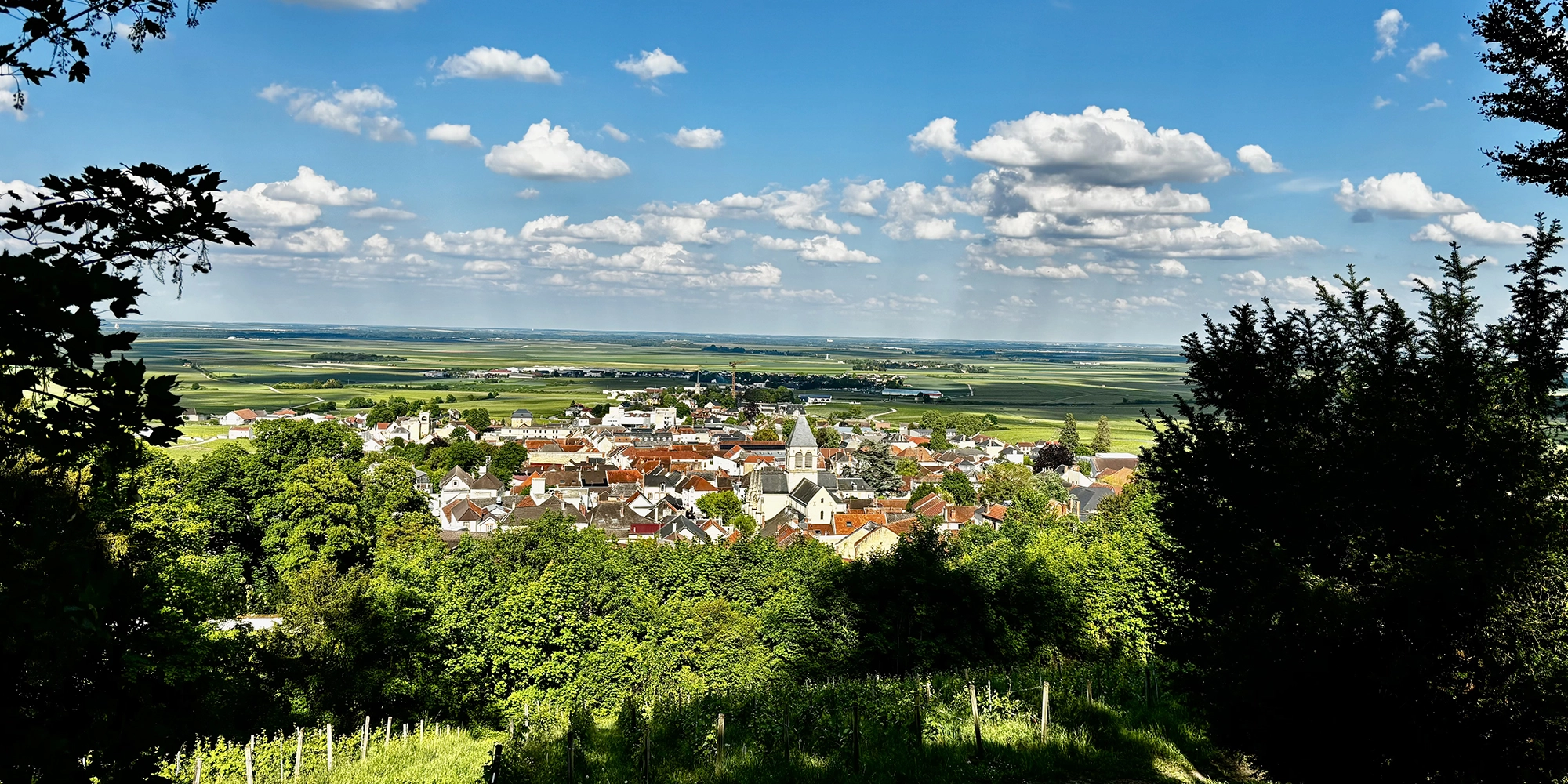 cote-des-blancs-diaporama8-1