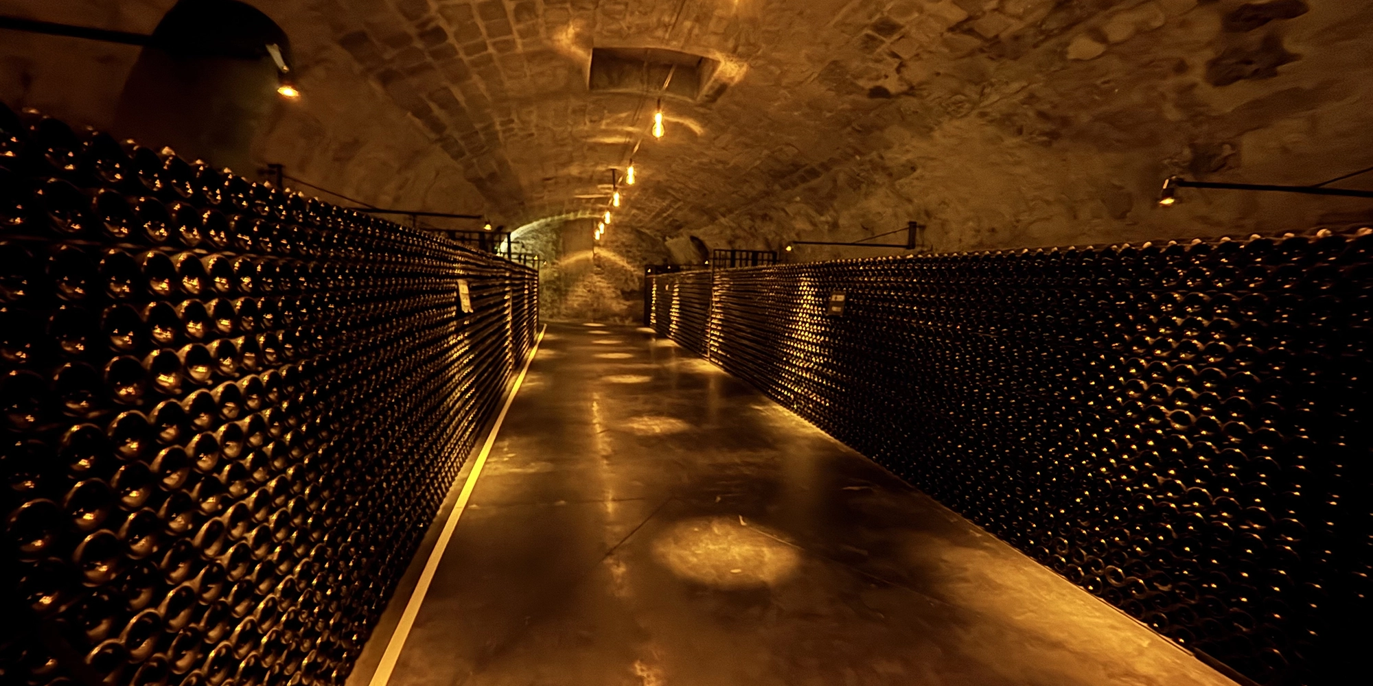 grde-montagne-de-reims-diaporama-2
