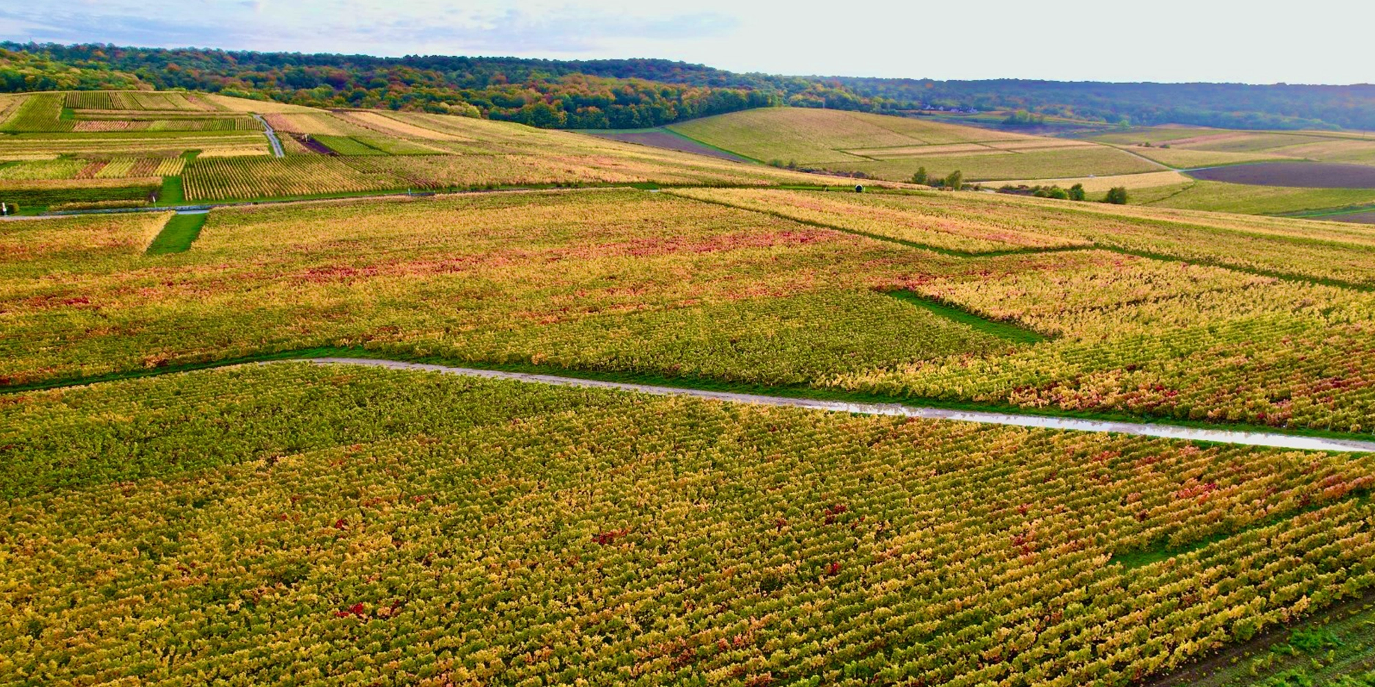 grde-montagne-de-reims-diaporama-7
